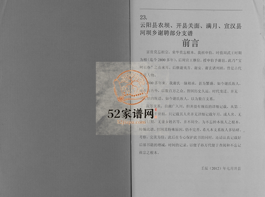 2012年修谢氏族谱.云阳县农坝 开县关面 满月 宣汉县河坝乡谢聘部分支谱pdf电子版家谱下载