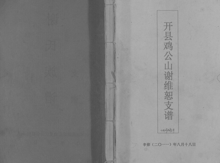 2011年修开县鸡公山谢维恕支谱 重庆 开州区电子版族谱下载