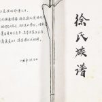2014年修徐氏族谱 重庆 开州区 奉节 云阳徐姓电子版家谱下载