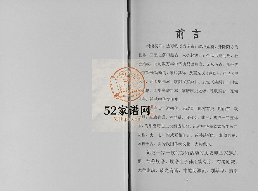2017年修四川射洪复兴庙儿嘴石板河陈氏族谱陈姓电子版家谱下载