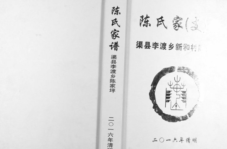 2016年修陈氏家（支）谱 四川渠县渠县李渡乡陈家坪陈姓电子版族谱下载