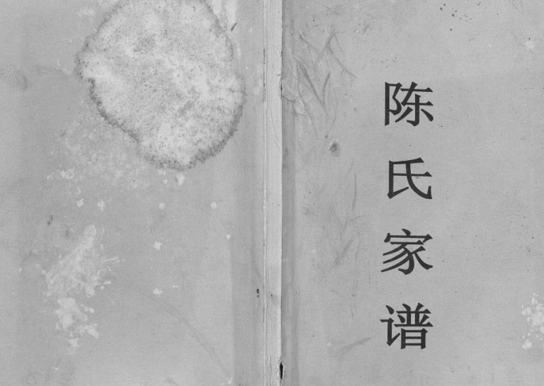 2008年修陈氏家谱[7卷]四川武胜陈姓电子版族谱下载
