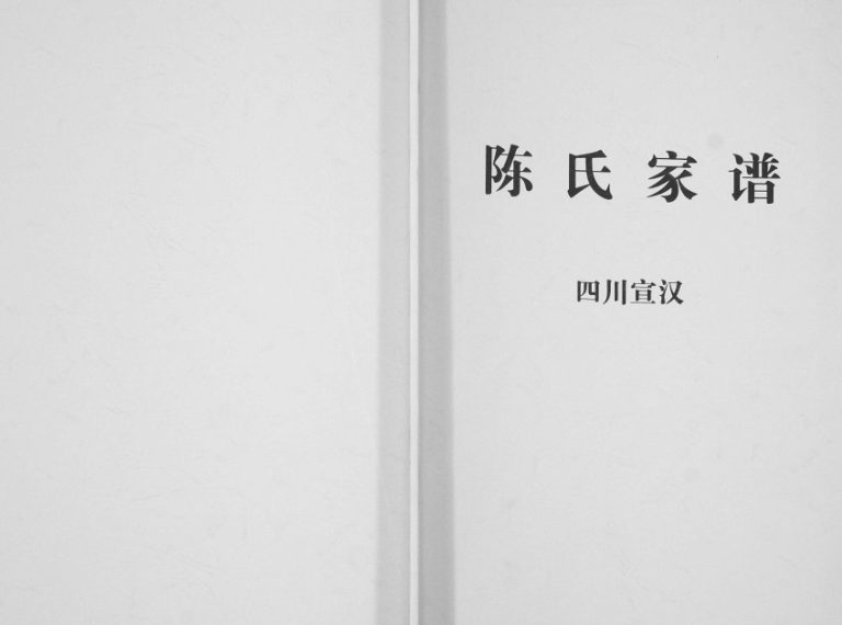 2011年修义门陈氏宣汉支谱[不分卷]四川陈姓电子版族谱下载