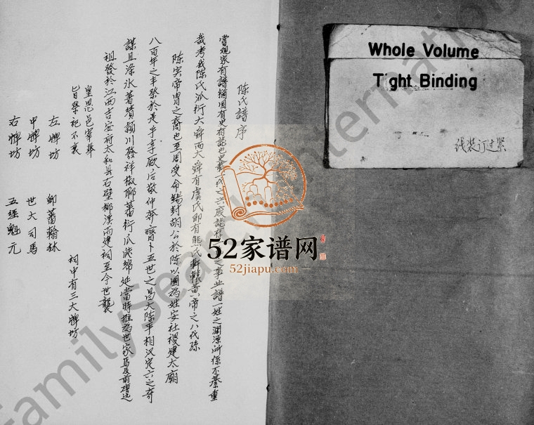1875年修陈氏族谱 四川资阳陈姓电子版家谱下载