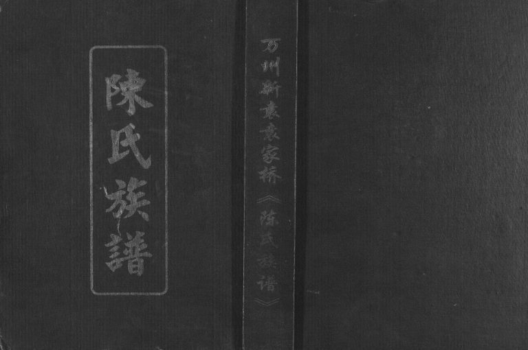 2008年修万州新袁袁家桥陈氏族谱 重庆 万州区陈姓电子版家谱下载