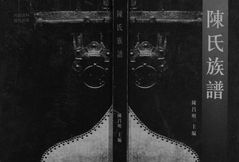2006年修陈氏族谱[不分卷]四川西充陈姓电子版家谱下载
