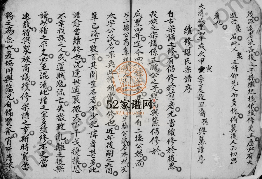 1913年修谌氏族谱 四川资阳谌姓电子版家谱下载
