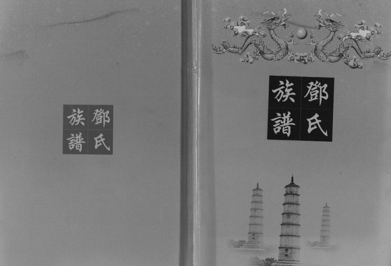 2012年修孙家坝邓氏族谱[不分卷]四川仁寿邓姓电子版家谱下载