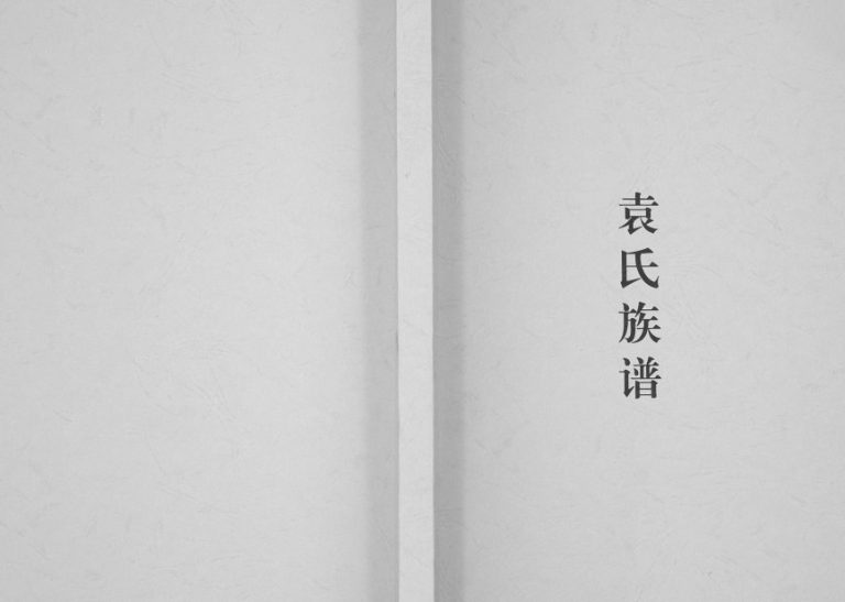 2009年修袁氏族谱 四川中江袁姓电子版家谱下载