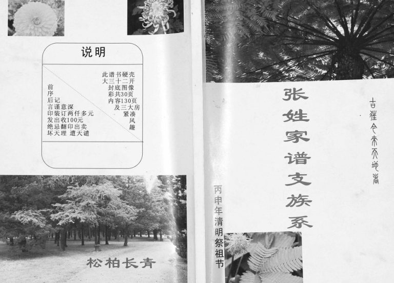 2016年修张姓家谱支族系 四川达州张氏电子版族谱下载