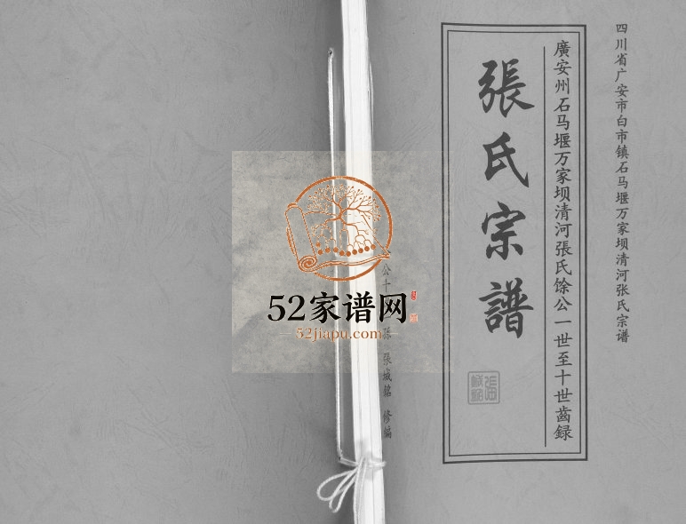 2009年修张氏宗谱 四川广安张姓电子版族谱下载