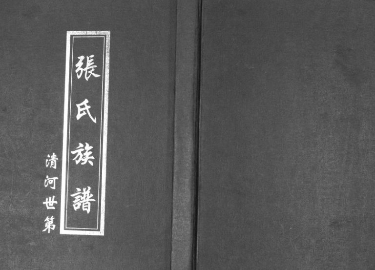 2004年修张氏族谱 四川兴文张姓电子版家谱下载