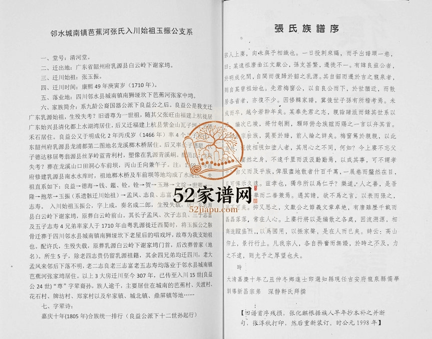 2017年修清河堂张氏族谱九龄派下良益后裔玉振公房 四川邻水张姓电子版家谱下载