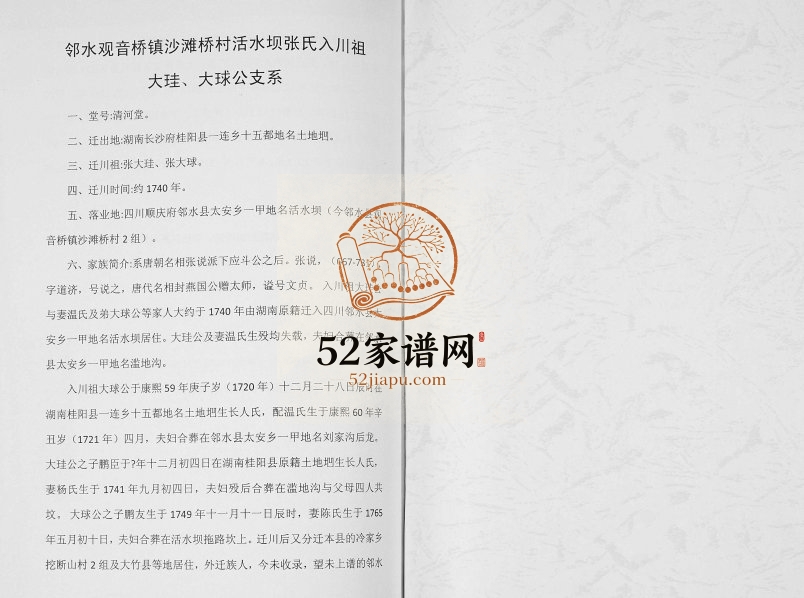 2017年修清河堂张氏族谱张说派下应斗后裔大珪大球公房 四川邻水张姓电子版家谱下载