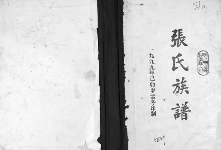 1999年修张氏族谱 四川兴文张姓电子版家谱下载