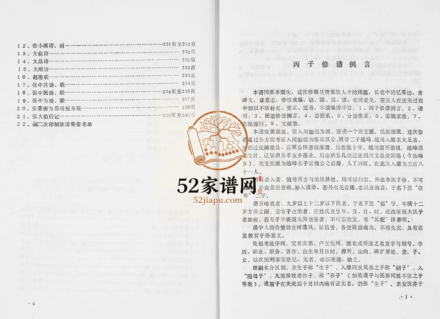 1999年修张氏族谱 四川兴文张姓电子版家谱下载