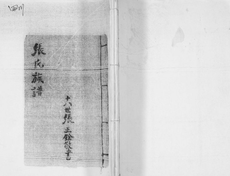 1973年修张氏族谱 四川宜宾张姓电子版家谱下载