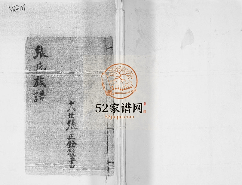 1973年修张氏族谱 四川宜宾张姓电子版家谱下载