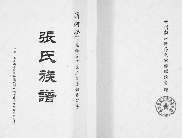 2004年修清河堂张氏族谱九龄派下万三后裔相芬公房 四川邻水张姓电子版家谱下载