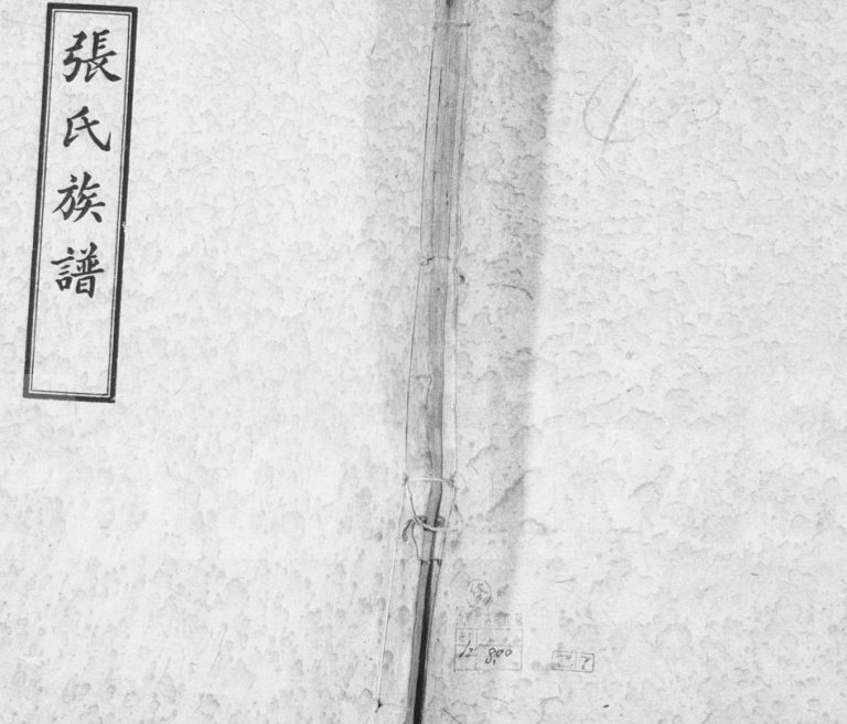 1941年修张氏族谱[12卷首1卷]四川双流张姓电子版家谱下载