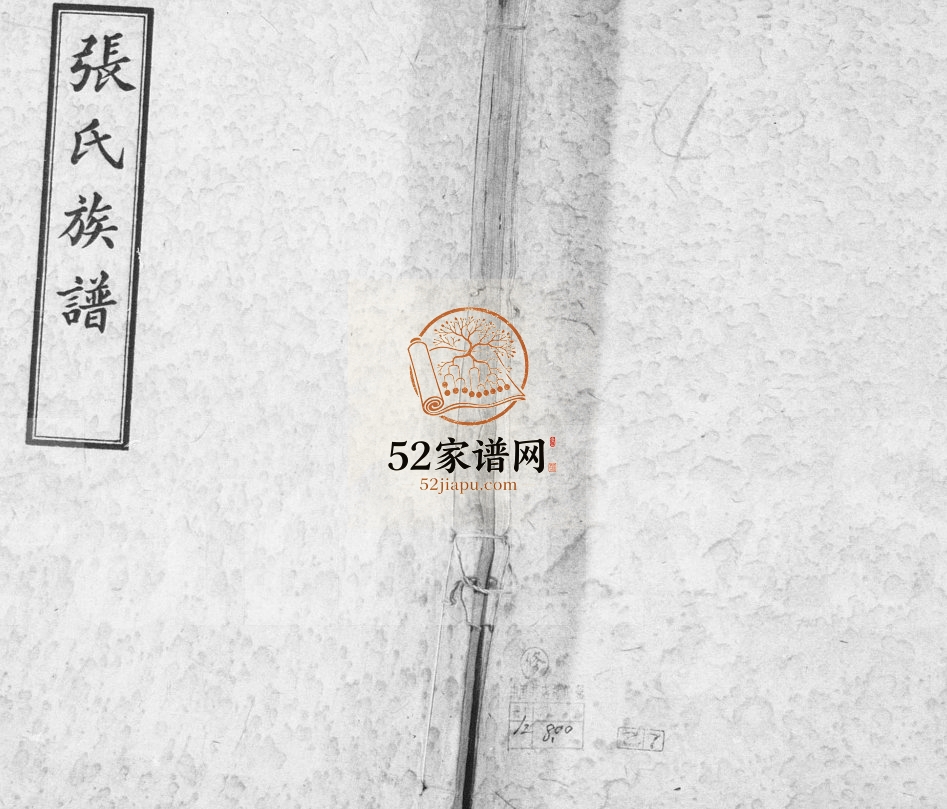 1941年修张氏族谱[12卷首1卷]四川双流张姓电子版家谱下载