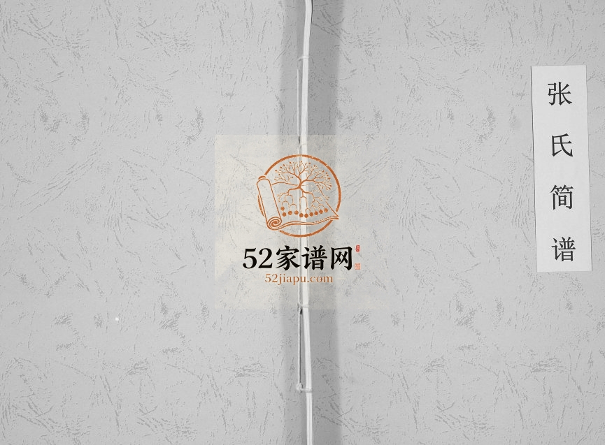 2013年修张良—张九皋一张浚—张拭后裔张氏简谱[不分卷]四川射洪张姓电子版族谱下载