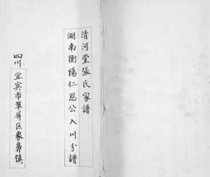 1910年修清河堂张氏家谱 湖南衡阳仁恩公入川分谱 四川宜宾张姓电子版族谱下载