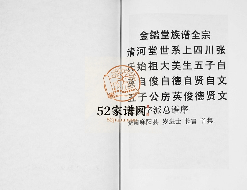2013年修四川省宜宾县龙池乡牛心山张氏族谱 金鉴堂张姓电子版家谱下载