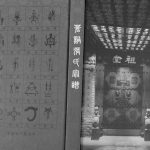 2009年修苍溪张氏宗谱 四川张姓电子版族谱下载