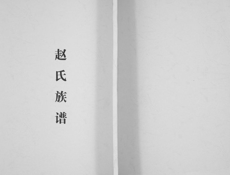 2016年修温江昙华寺赵氏族谱 四川福泉堂赵姓电子版家谱下载