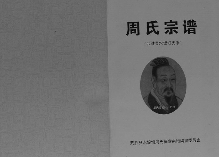 2010年修周氏宗谱武胜县水堤坝支系[不分卷]四川周姓电子版族谱下载
