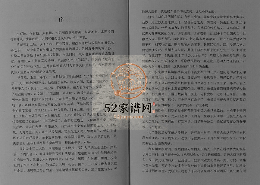 2010年修周氏宗谱武胜县水堤坝支系[不分卷]四川周姓电子版族谱下载