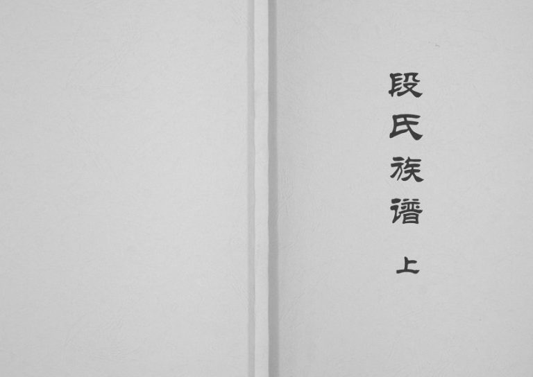 2008年修段氏族谱四川省蓬安 广安 营山 渠县支系 段姓电子版家谱下载