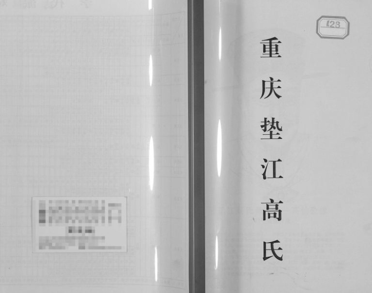 2012年修重庆垫江高氏族谱 四川高姓电子版家谱下载