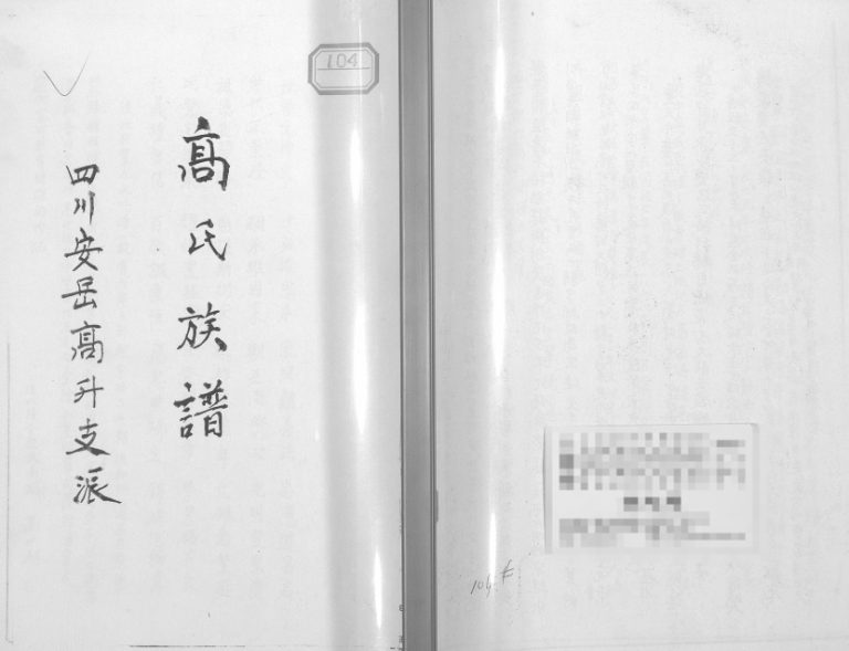 2008年修四川安岳高升支派高氏族谱高姓电子版家谱下载