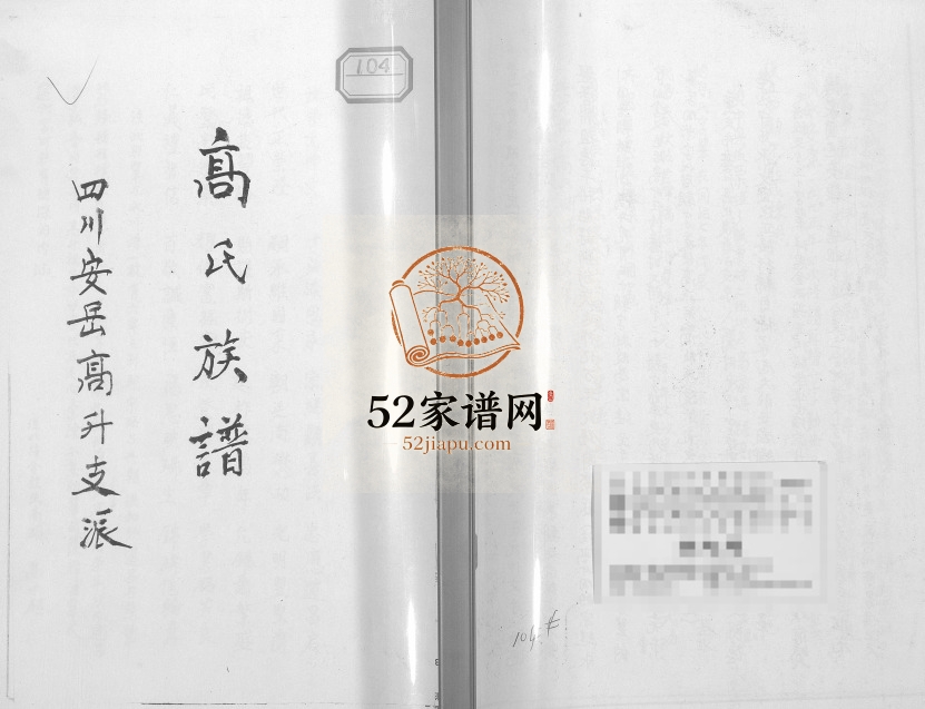 2008年修四川安岳高升支派高氏族谱高姓电子版家谱下载