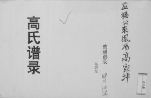 2000年修高氏谱录 四川内江高姓电子版族谱下载