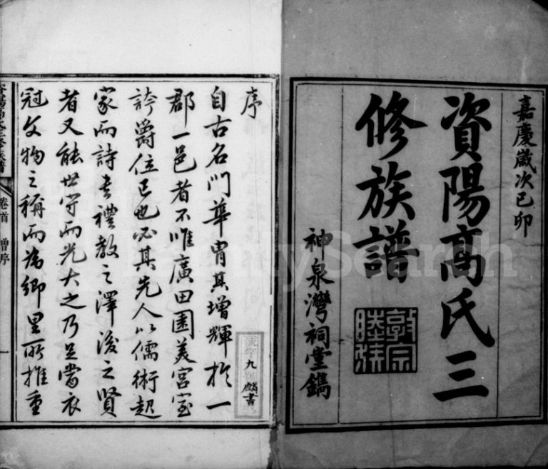 1819年修资阳高氏三修族谱[12卷首2卷]四川神泉湾祠堂高姓电子版家谱下载
