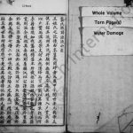 1890年修龚氏族谱[4卷]四川夹江龚姓电子版家谱下载