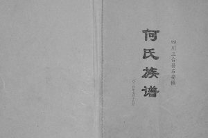 2010年修四川三台县石安镇何氏族谱[不分卷]何姓电子版家谱下载