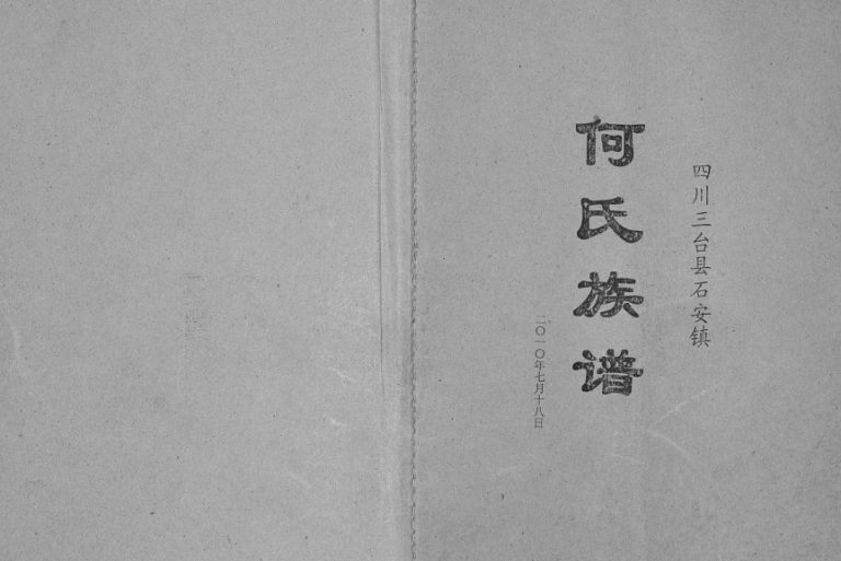2010年修四川三台县石安镇何氏族谱[不分卷]何姓电子版家谱下载