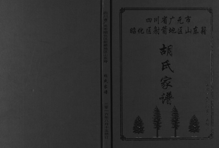 2016年修四川省广元市昭化区射箭地区山东籍胡氏家谱胡姓电子版族谱下载