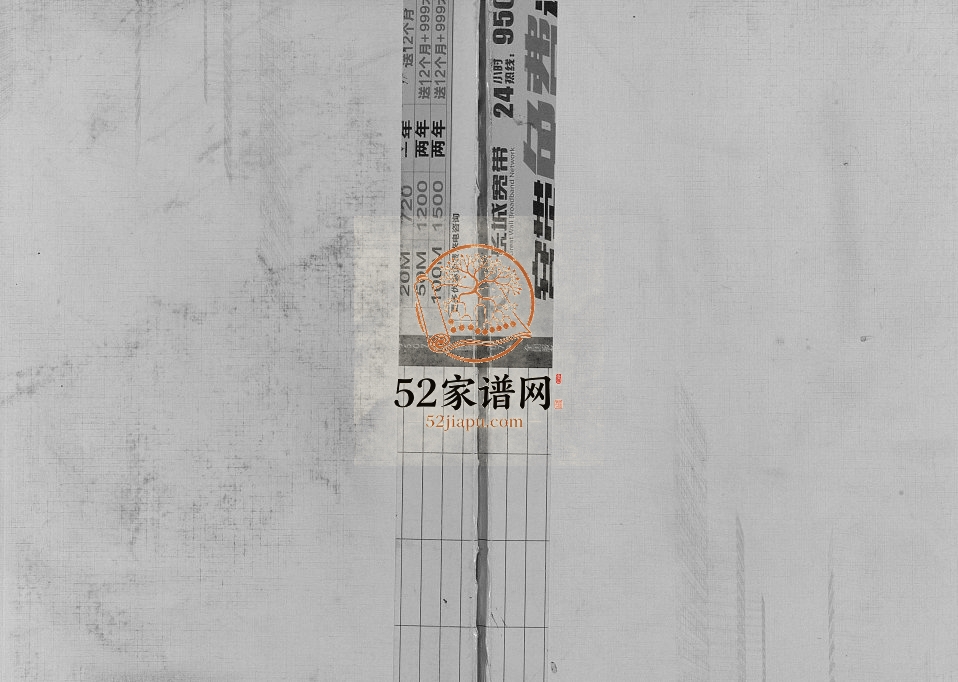 2016年修重庆市合川区铜溪镇板桥寺冯家坝蒋氏族谱 蒋姓电子版家谱下载