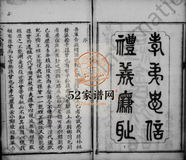 1905年修合江金氏族谱 四川宣汉金姓电子版家谱下载