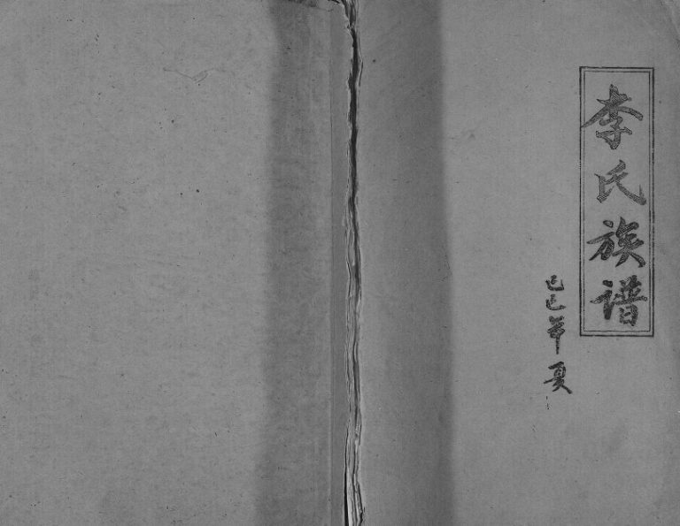 1989年修李氏族谱 重庆大足李姓电子版家谱下载