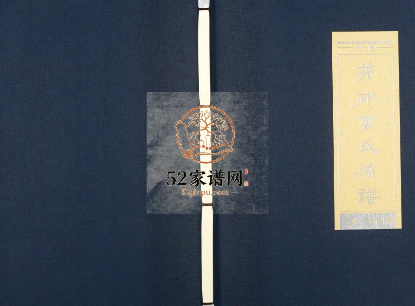 2013年修井研雷氏族谱[不分卷]四川雷姓电子版家谱下载
