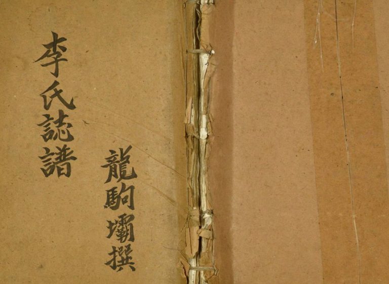 1989年修李氏志谱 四川开江 宣汉李姓电子版族谱下载