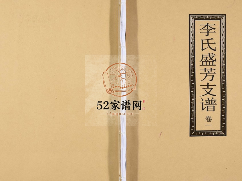 2017年三修李氏盛芳支谱[5卷]重庆 巫山李姓电子版族谱下载