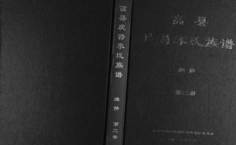 2016年高县庆符李氏族谱续修 四川李姓电子版家谱下载