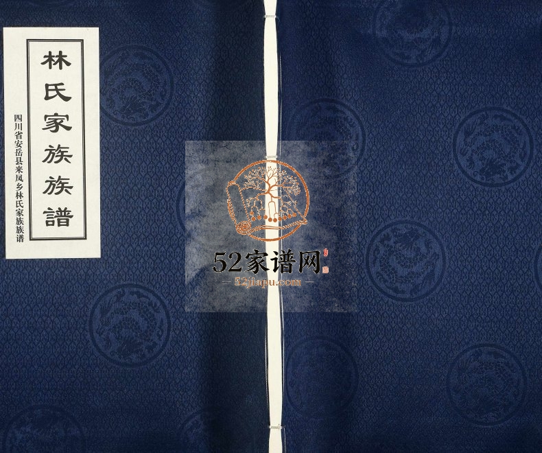 2015年修四川省安岳县来凤乡林氏家族族谱 林姓电子版家谱下载